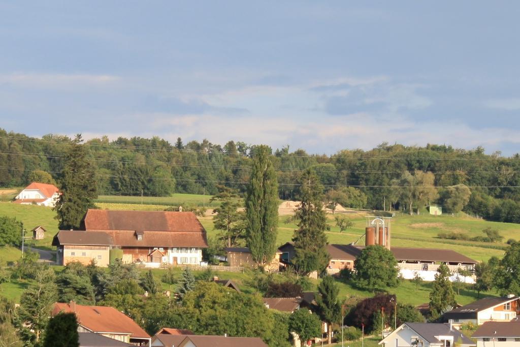 Hof Oberprehl Daire Murten Dış mekan fotoğraf
