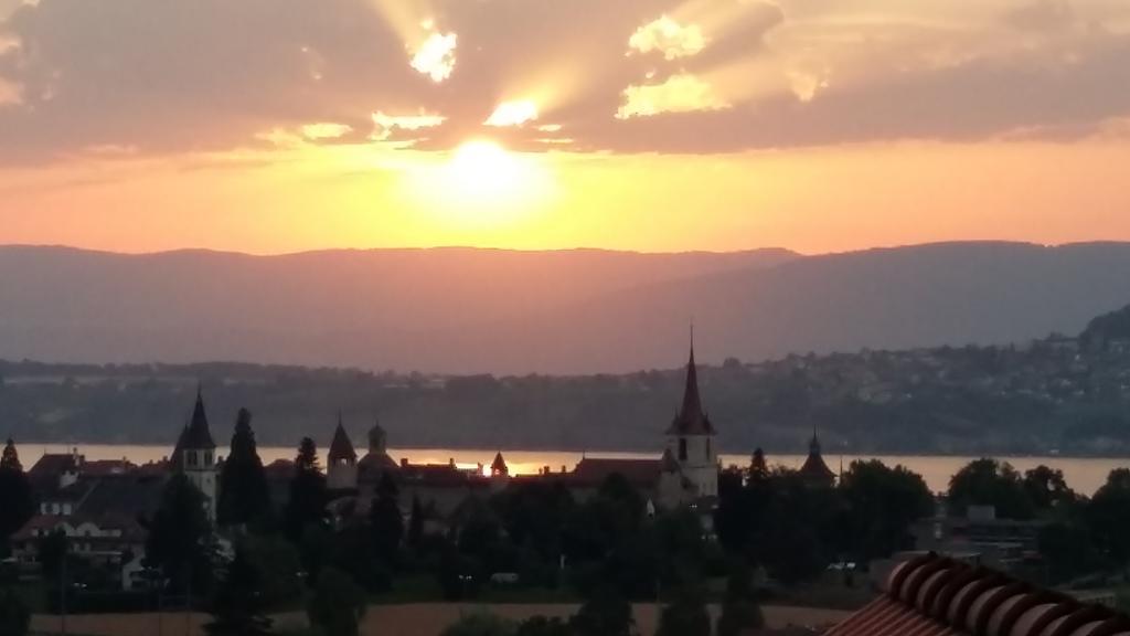 Hof Oberprehl Daire Murten Dış mekan fotoğraf
